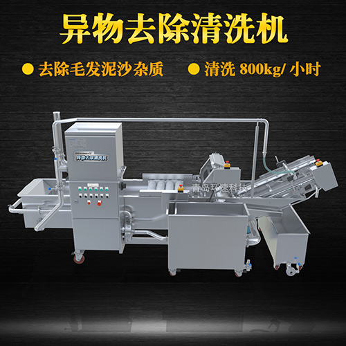 全自動果蔬清洗機，清洗800kg小時，全自動果蔬清洗機