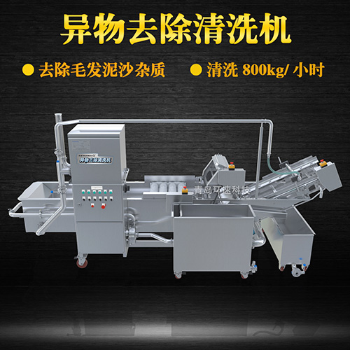 蘋果氣泡清洗機，清洗800kg小時，蘋果氣泡清洗機