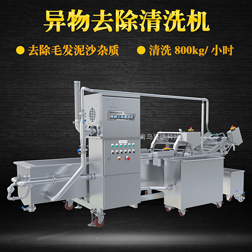 果蔬清洗機制造廠家，氣泡清洗，清洗800kg小時
