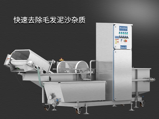 果蔬清洗機(jī)制造廠家，氣泡清洗，清洗800kg/小時(shí)