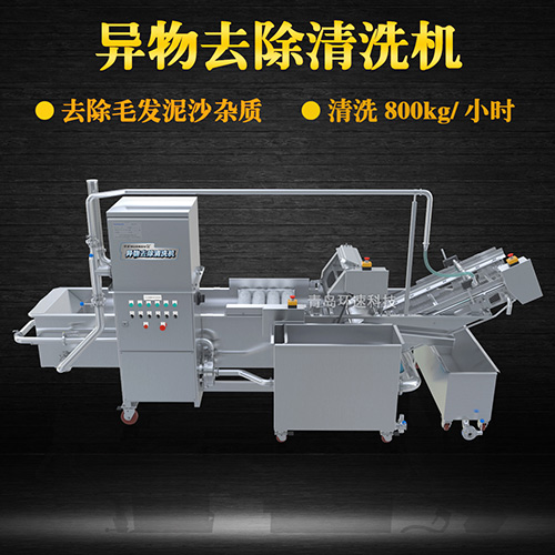 果蔬清洗機(jī)設(shè)備，氣泡清洗，清洗800kg小時(shí)